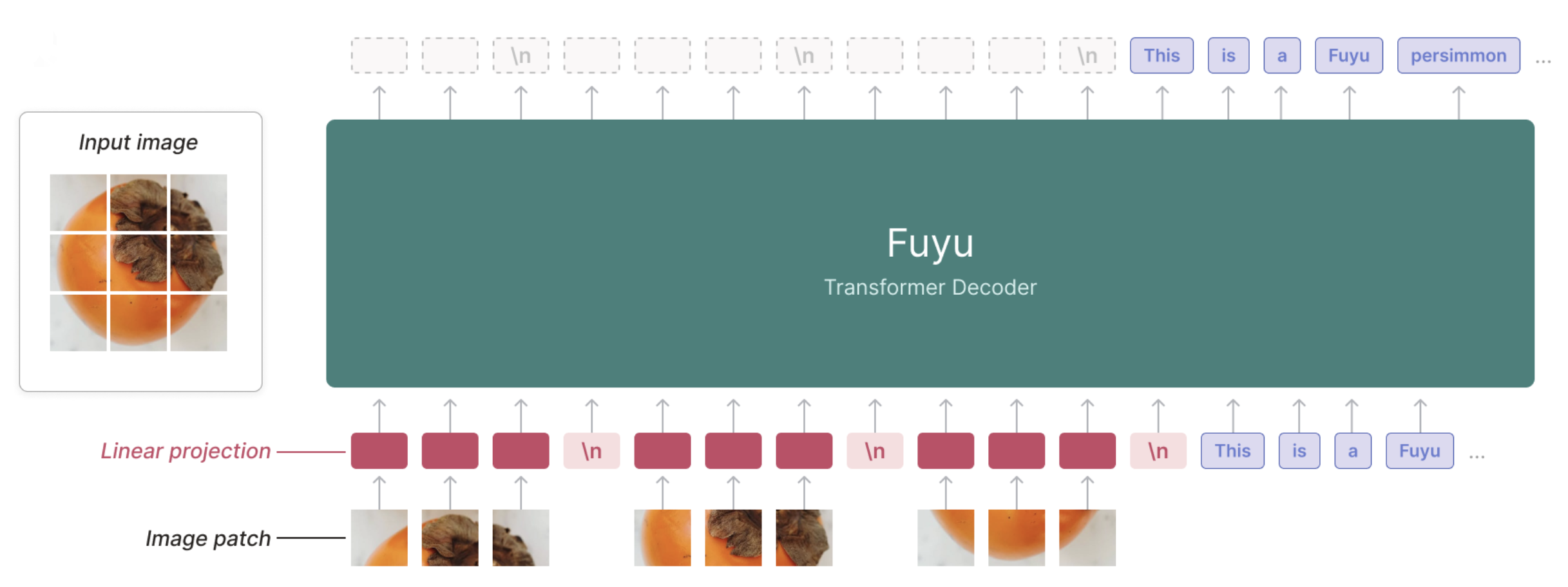 Fuyu架构